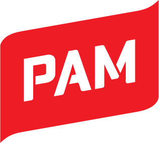 PAMin logo.